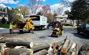 Best Tree Preservation Services  in Fairfax, CA